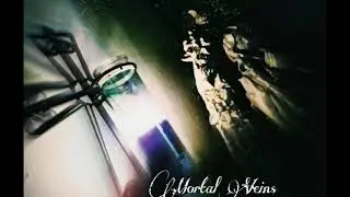 Mortal Veins Feat. Charley Casso - Drug Abuse.