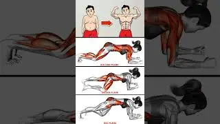 Plank Variations for Rock-Solid Abs #PlankWorkout #AbsWorkout #CoreTraining #SixPackAbs