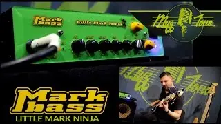 Алексей Соколов - Mark Bass Little Mark Ninja Head - Richard Bona signature Amp - Demo