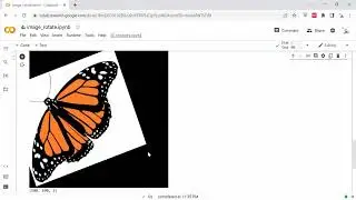 Rotasi Citra dengan Python (Image Rotation in Python)