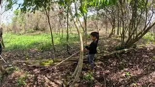 Futura chácara Amazonas 🙏