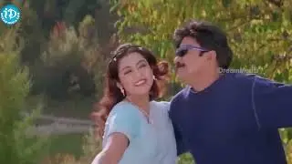 Kadile Andaala Video Song || Maa Annayya Movie || Dr Rajasekhar, Meena, Vineeth || S.A Rajkumar