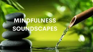 Journey into Tranquility: Exploring the Transformative Power of Mindfulness Soundscapes