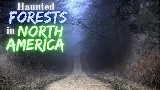Haunted Forests in North America