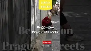 hard truth begging on prague's streets 🚶 #praguewalkingtour #subscribe #praguian