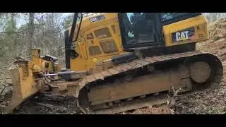 Clearing trees to build a bigger bass fishing pond