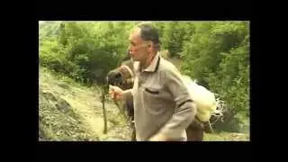 Short Film 