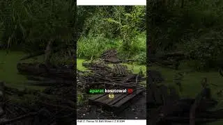Pentax 645Z tańszy kilkukrotnie od każdego innego średniego formatu??