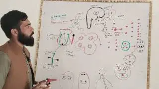 Class 10th biology.Topic Life cycle of flowering plants..Male and female gametes formation...