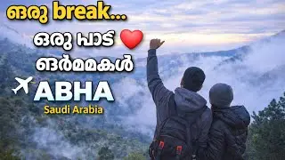 പ്രവാസ ജീവിതത്തിൽ നിന്ന് ഒരു break… ഓർമ്മകൾ ഉണ്ടാക്കാൻ പുറപ്പെട്ട യാത്ര 🇸🇦