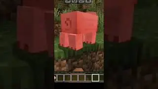 Minecraft chicken dead vs Pig dead funny