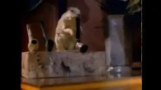 HUEY LEWIS & THE NEWS - THE HEART OF ROCK AND ROLL (Dj 1000-Jauss Video Version)