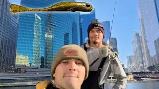 Jon Boat Bass Fishing Downtown Chicago