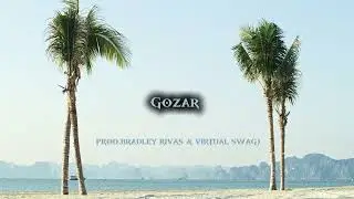 Gozar  Prod Bradley Rivas & Virtual Swag