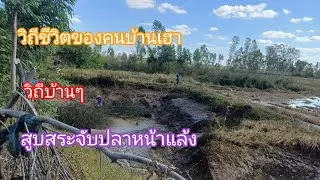 สูบสระจับปลาวิถีชีวิตคนบ้านๆหาอยู่หากิน