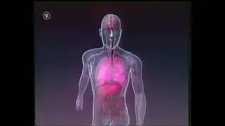 Das Erste 14.04.2005 W wie Wissen Nachtwiederholung
