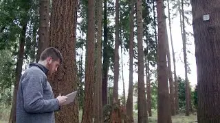 Bachelor of Science in Natural Resources - Forest Management & Forest Operations Major