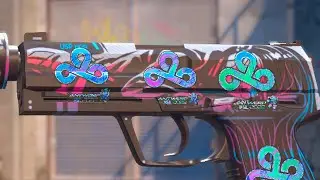 [USP-S | Neo-Noir] КОМБИНАЦИЯ НАКЛЕЕК - CS 2