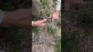 tension de corde &agrave; l'aide d'un passabloc