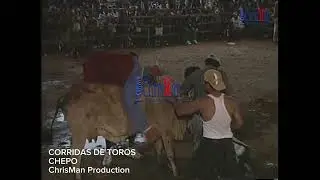 Bullfights