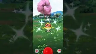 High flying shiny highlights ✨🪽 #pokemon #pokemongo #shinypokemon #shinyhunting #pokemonevent