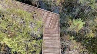 Drone Footage of Custom Built Boardwalk in Florida