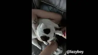 LAZYBOY - ชอบพี่ไม่ไหวแล้ว 