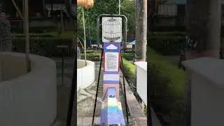 Persistence of vision || Light, Class 10 || Parrot in cage
