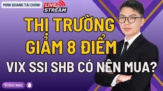 THỊ TRƯỜNG GIẢM 8 ĐIỂM - VIX SSI SHB C&Oacute; N&Ecirc;N MUA?