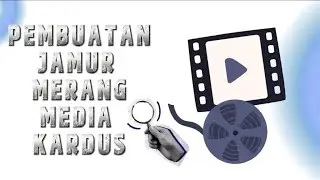 Pembuatan Jamur Merang dengan Media Kardus