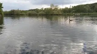 Ruhr river ...