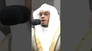 Dive into Spiritual Harmony : Sheikh Yasser Ad Dossary's Captivating Quran Recitations!