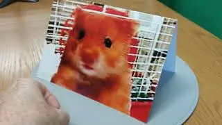 Harry the Hamster Card ?