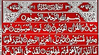 Surah Yasin Surah Rahman | Beautiful Recitation Surah Yaseen Surah Rahman Full | Quran Tilawat | 190