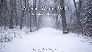 Relaxing Snowfall Walk at Kendrick Pond (432Hz Calm Music)