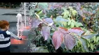 Релакс видео 4к. Relax video 4k.