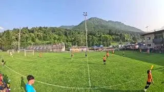 Pulcino D&rsquo;Oro | Real Sito - Lavis 2014