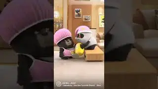 Panda Land Funny Video 📸