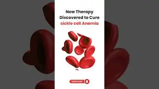 Sickle Cell Anemia Patients: What the Latest U.S. Research Means for a Cure