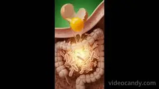 What happens when we eat raw(uncooked egg) 