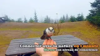 Connecter avec la Nature en 1 Minute | &Eacute;lever son niveau de Conscience