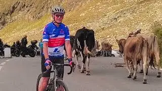 Passo Gavia court