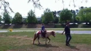 Logan pony ride