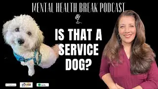 The Good, The Bad & The Ugly: My First Flight with a Psychiatric Service Dog