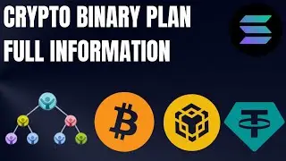 Crypto MLM Binary Plan Software | Crypto MLM Binary Plan full information in English