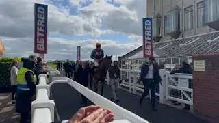 An Honest Day Punting - Newmarket 1000 Guineas