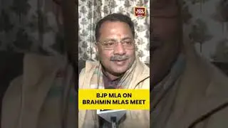 BJP MLA On Brahmin MLAs Meet | #shorts #bjpmla #uttarpradesh #upassembly #brahmincommunity #politics