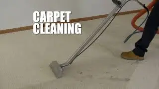 Rapid Response 1- Extraction-Mold-Carpets