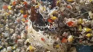 وصال مرحموهاش واخا هي بين يدي رحمان و أوأوا لي هبلات و بي نزل عليها لعن فشعبان