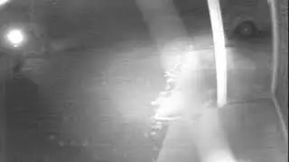 Apparitions/Ghosts? - Security Cam Driveway1 20130911